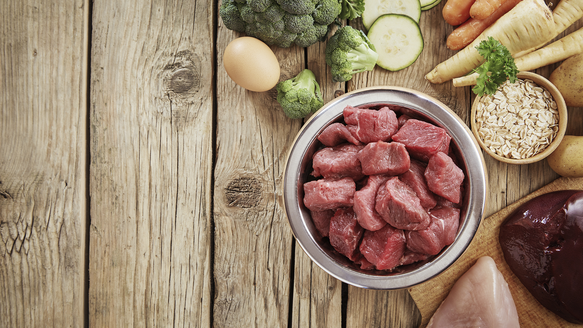 Tierfreund Titelbild Hundenapf rohes Fleisch und Gemuese im Napf
